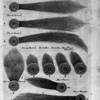 Certitudes et incertitudes au XVIIe siècle - 3b