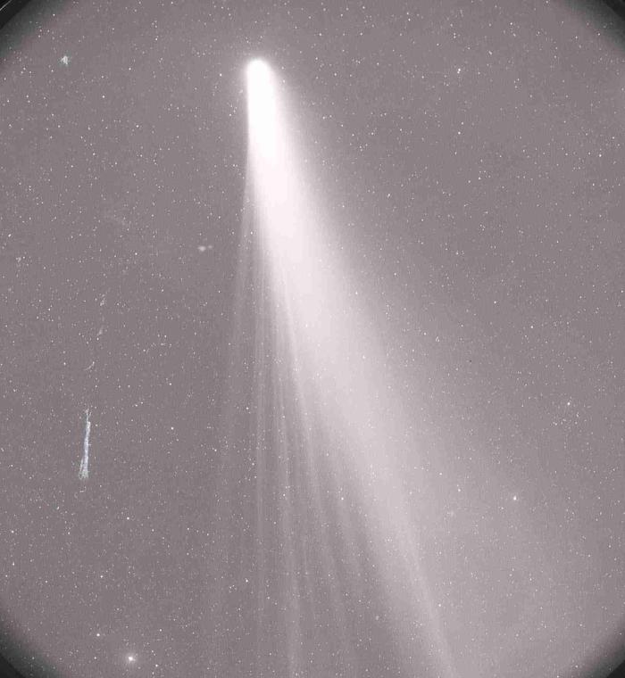 Comète C/1970 Y1 Bennett