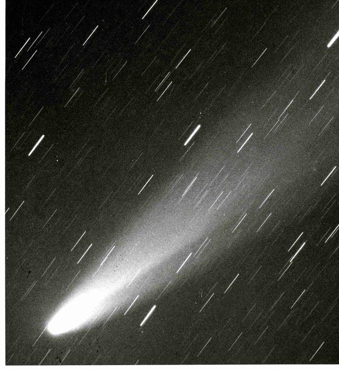 Comète C/1956 R1 Arend-Roland