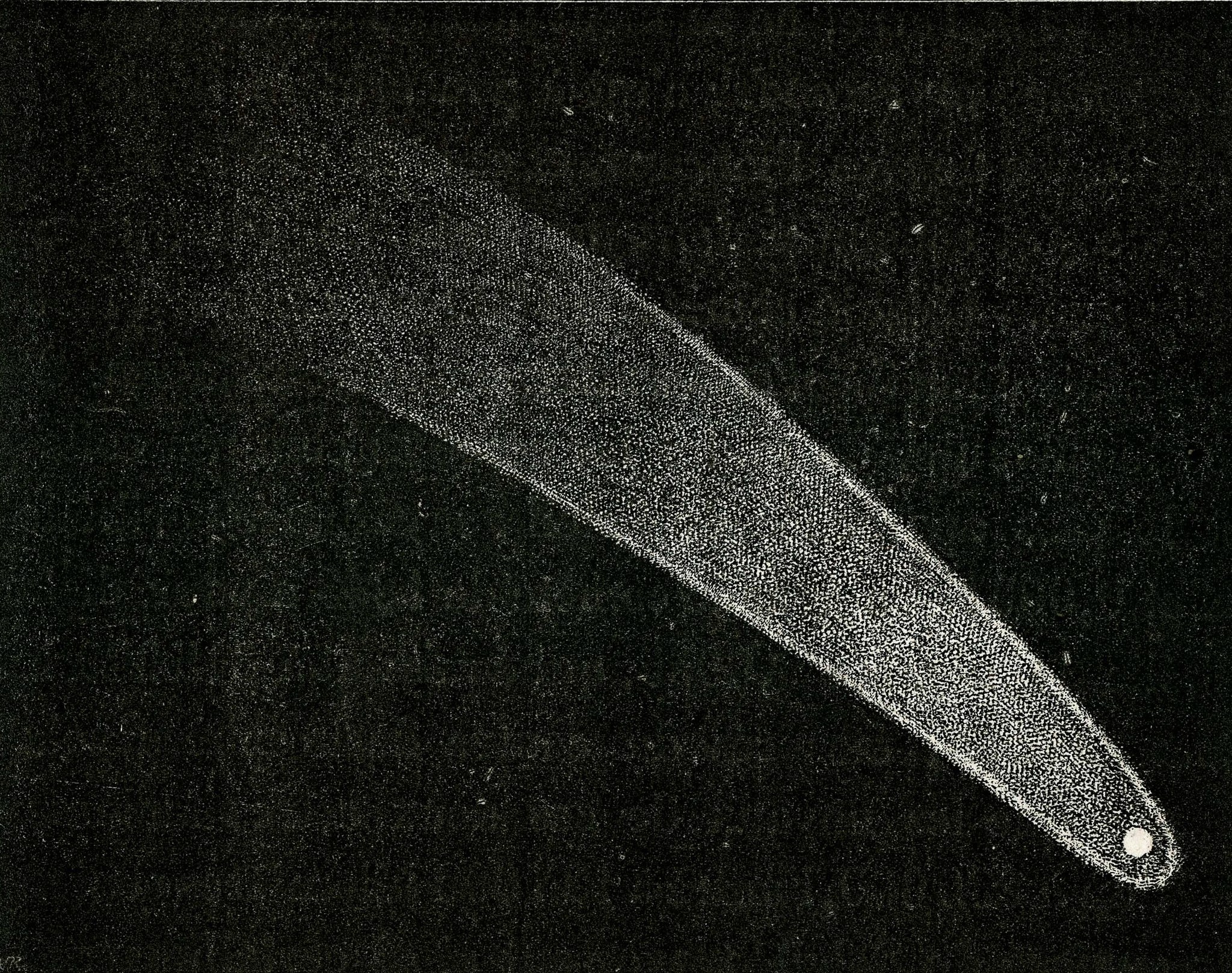  Comète C/1811 F1 Flaugergues - 3